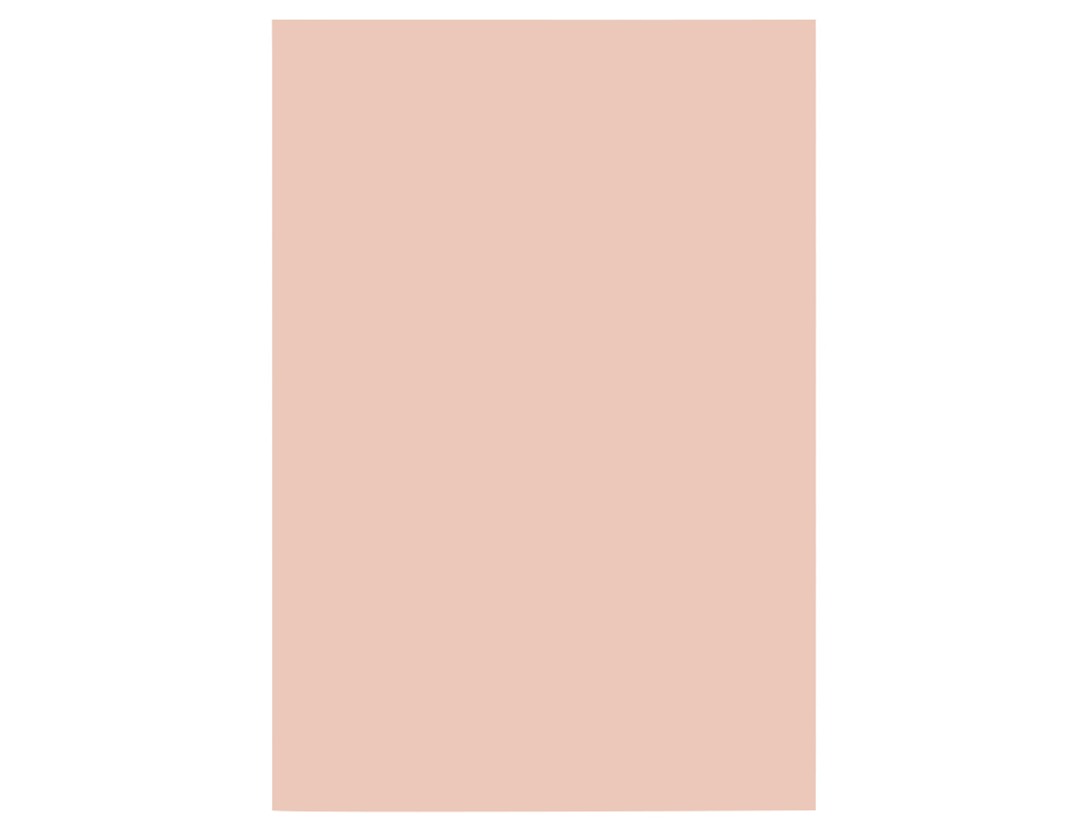 CARTULINA LIDERPAPEL A4 180G/M2 SALMON PAQUETE DE 100 HOJAS