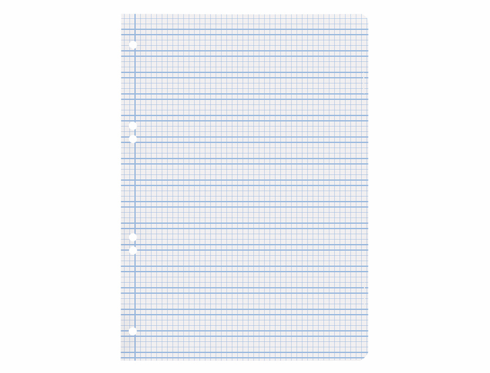 RECAMBIO LIDERPAPEL CUARTO PAUTAGUIA 100 HOJAS 75GR CUADRICULADO PAUTADO 3MM CON MARGEN 6 TALADROS