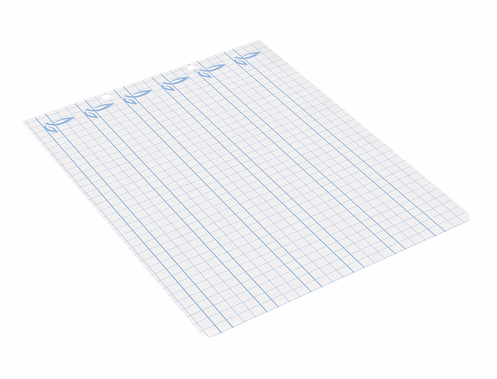 RECAMBIO LIDERPAPEL CUARTO APAISADO PAUTAGUIA 100 HOJAS 75GR CUADRICULADO PAUTADO 6MM CON MARGEN 2 TALADROS